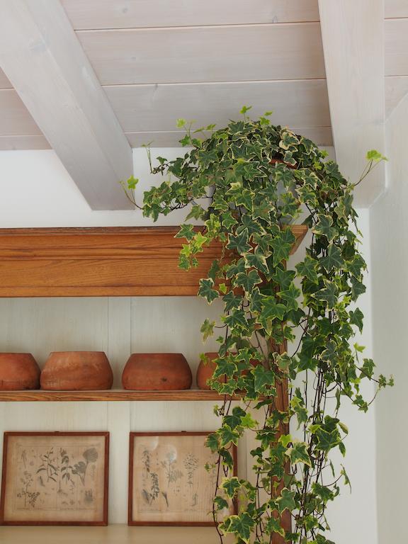 Casa Del Pittore 로베레토 외부 사진